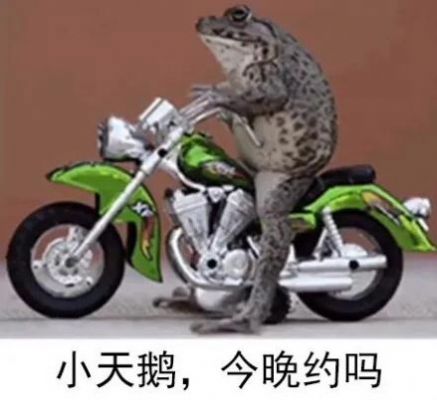 小天鹅出来解解馋表情包抖音表情图下载 v1.0图5