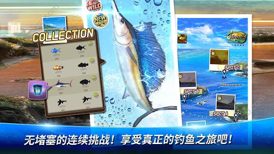 钓鱼之旅钻石安卓版  v1图1