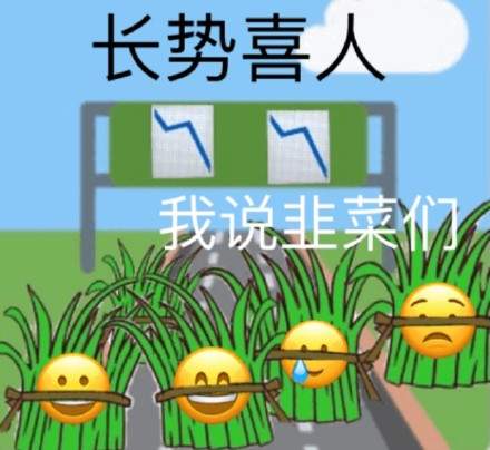 炒基金表情包图3