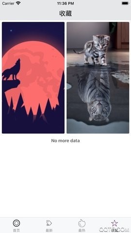 百变桌面壁纸手机版图3