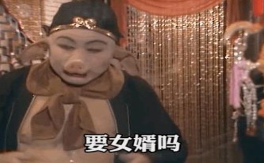 你回去问问阿姨就问今年过年要女婿吗gif动图大全图2