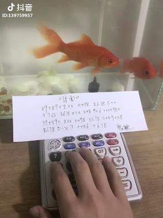 抖音体面计算器音乐谱简谱app下载图片2