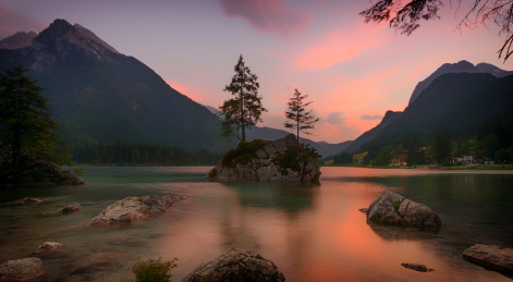 颜图社app官方合集