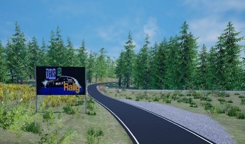 这就是拉力游戏中文手机版图2