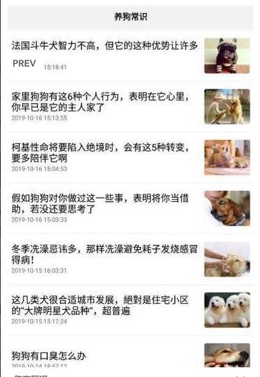 跑狗翻译app官方正式版下载  v1.1.6图1