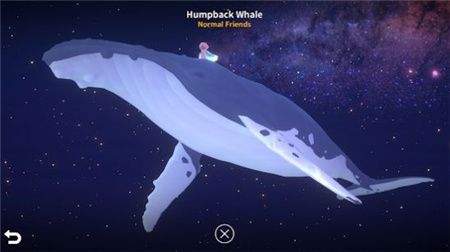 深海庭院中文版图2