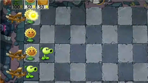 植物大战僵尸wenhua版图3