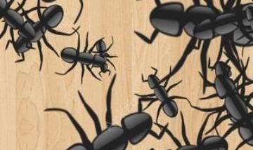 手机游戏捏蚂蚁下载图片1