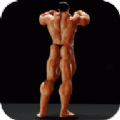 健美锻炼金币安卓版  v0.821