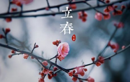 2021立春图片大全最新图图1