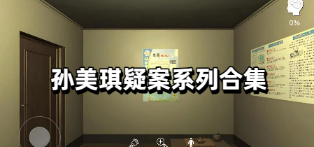 孙美琪疑案系列合集