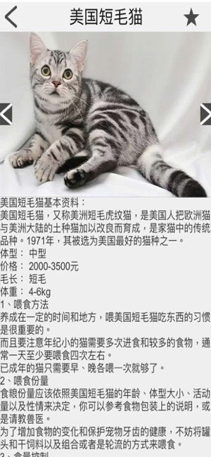 猫咪部落app官方最新下载  V1.0.0图1