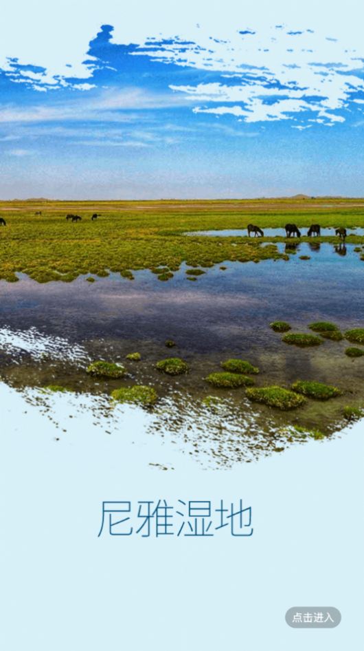 民丰好地方APP图3