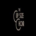 the up size hoir网站版