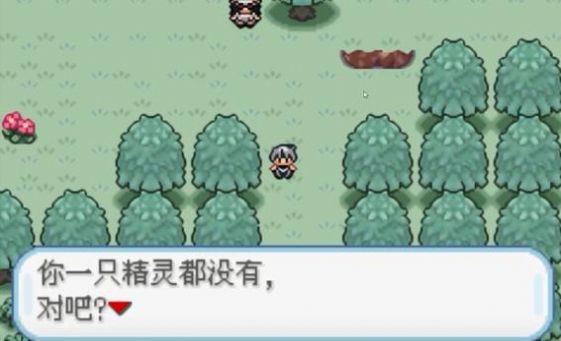 口袋妖怪火箭队汉化版下载安装  v1.0图1