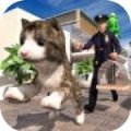 非常宠物猫模拟器中文版