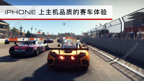 CRID超级房车赛免费汉化安卓版  v1.0图3