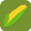 玉米竞娱app最新手机版  v1.0