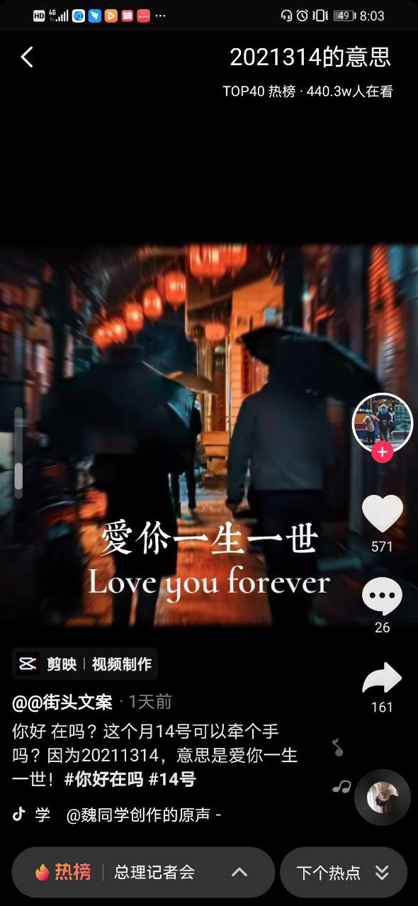 2021314意思是爱你一生一世图片图1