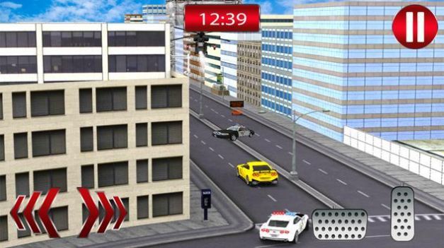 真正的警察追捕黑帮游戏官方安卓版  v1.0图4