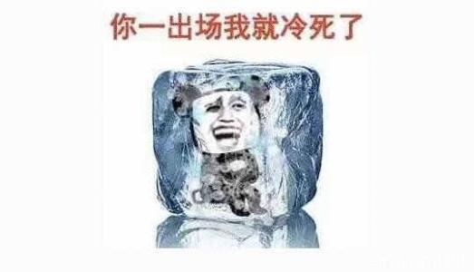 这天冷的把我的气质都冻没了图片图4