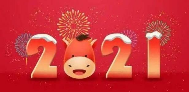 2021年元旦祝福群友视频图2
