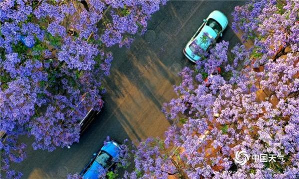 2021年五一全国赏花地图图1