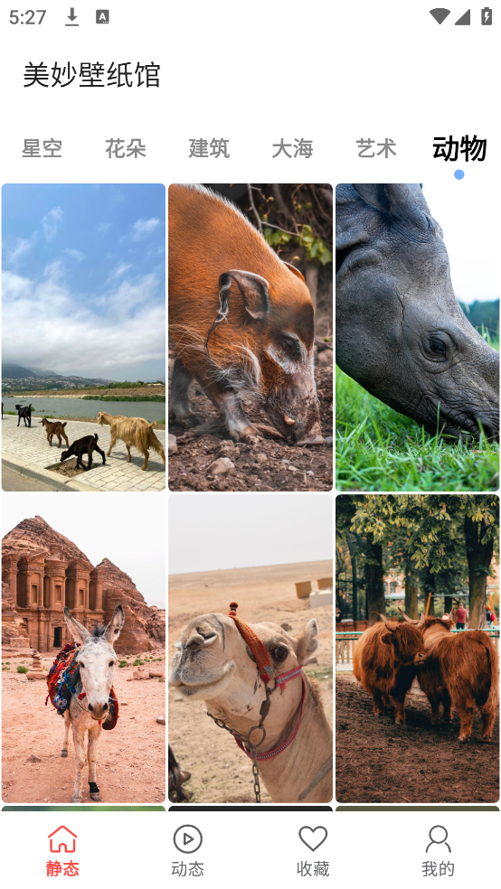 美妙壁纸馆安卓版图2