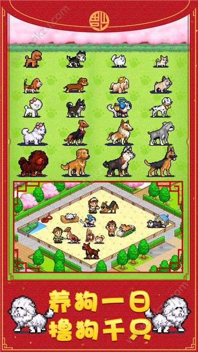 发现狗狗乐园安卓版图4