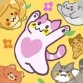 猫咪满屋游戏