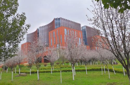 我要请假小橘子app合集