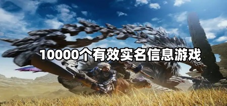 10000个有效实名信息游戏