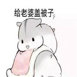 老婆呢老婆我想你了要老婆的抱抱表情包图1