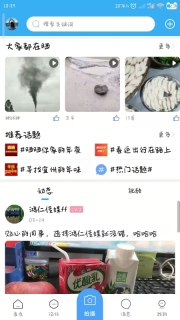 宜州论坛图4