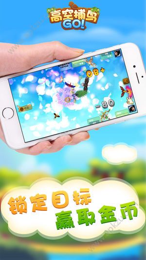 高空捕鸟游戏图5