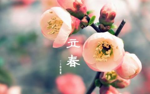 2021立春图片大全最新图图5