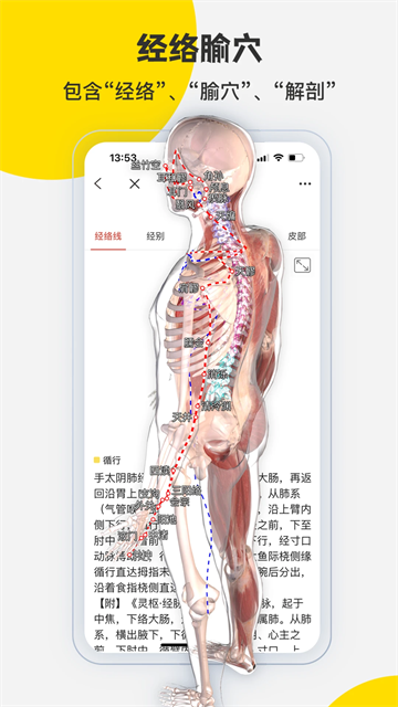 3DBody解剖学图3
