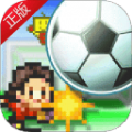 开罗冠军足球物语1游戏
