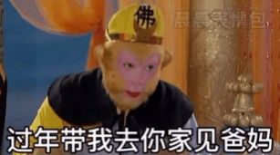 过年带我去你家见爸妈去了你家再去我家表情包图3