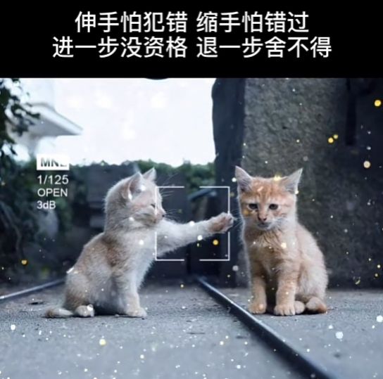 伸手怕犯错缩手怕错过背景图图2