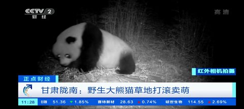 小小tv电视直播图2