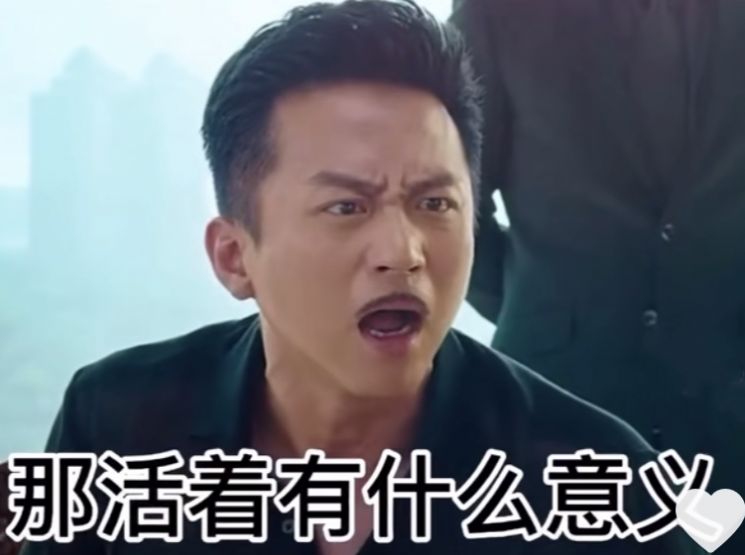 作为一个男孩子 你没钱没妞就算了 如果你还不好色 那活着有什么意义 当咸鱼吗表情包图2