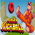 功夫踢球游戏