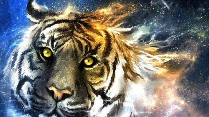 微信小老虎图像制作软件合集