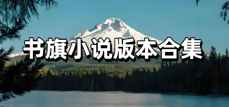 书旗小说版本合集