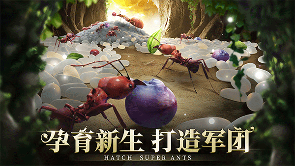 小小蚁国国际服中文版图4