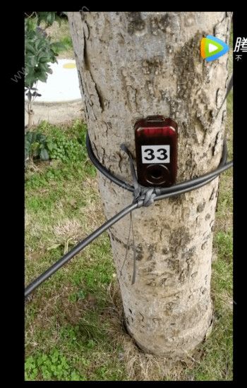 小野定向app官网下载手机版  v2.2.0图2