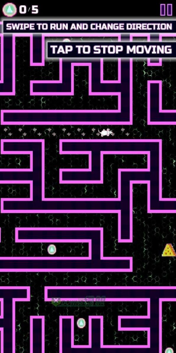 老鼠迷宫找奶酪游戏图4