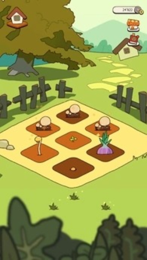 有机蔬菜农场图2