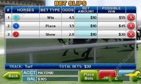 赛马3D安卓版图2